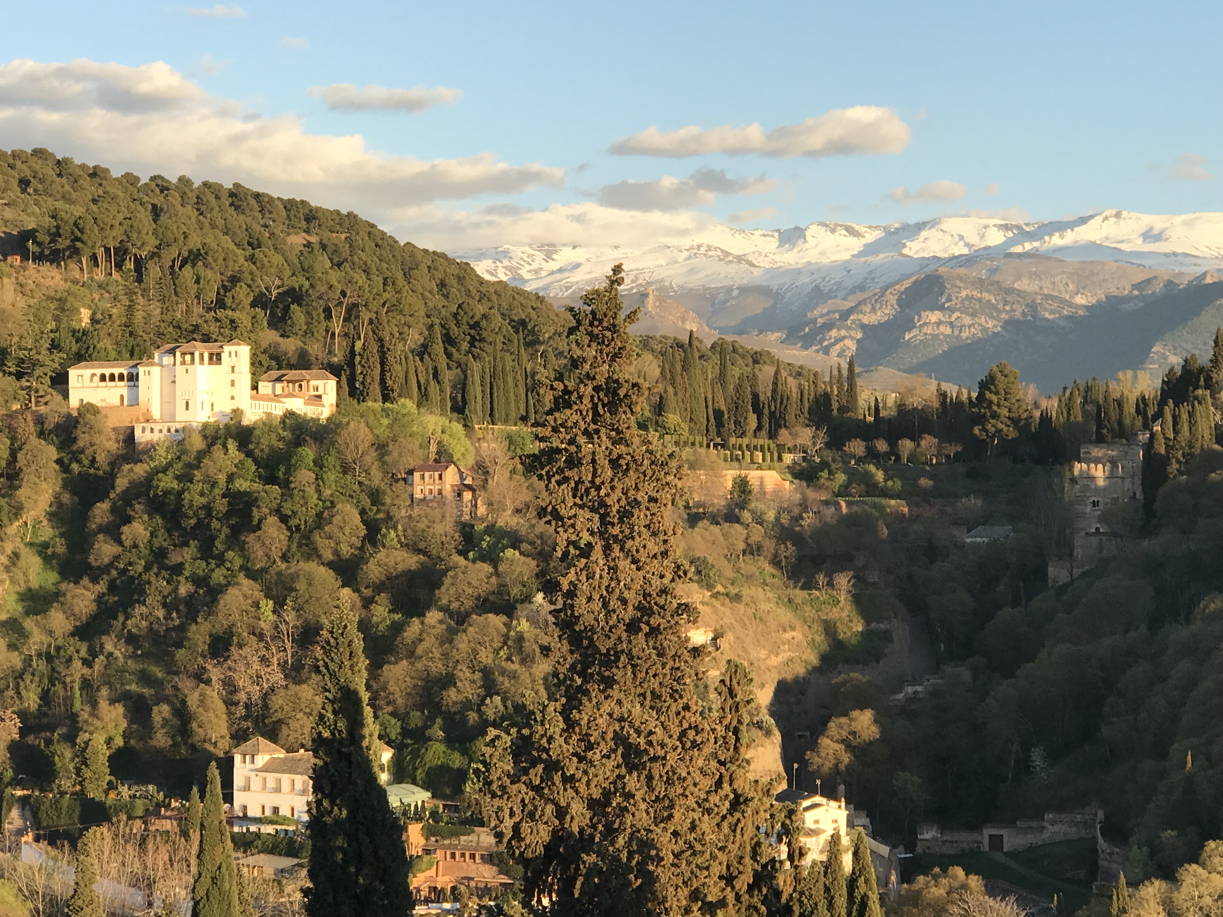 Seriously, I May Have a Hernia.