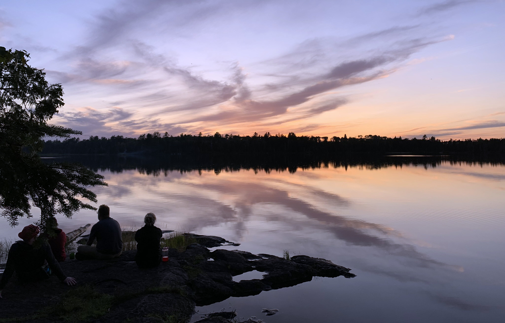 Nature Boy In The Woods.