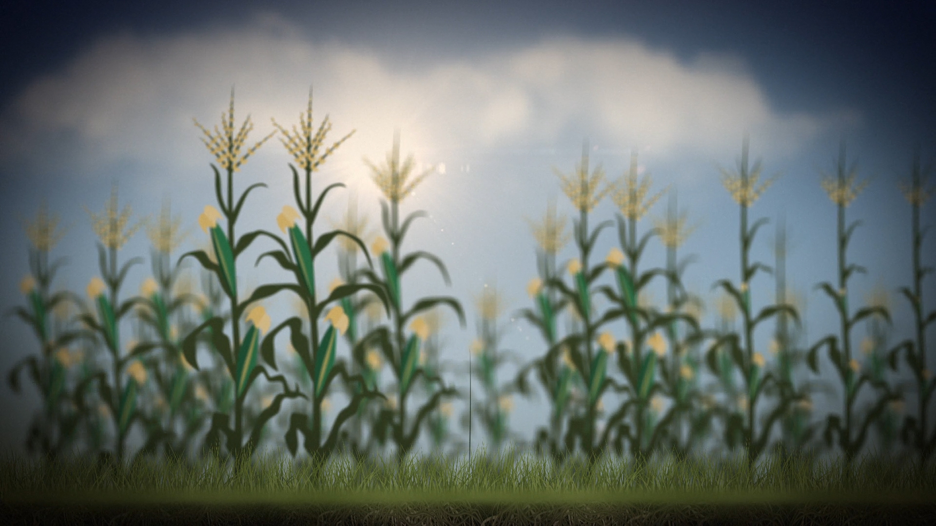 Gallery – An Angry Hum